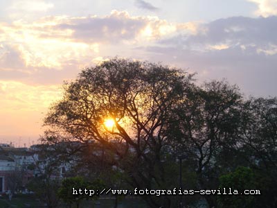 Foto: Paseo Col&oacute;n