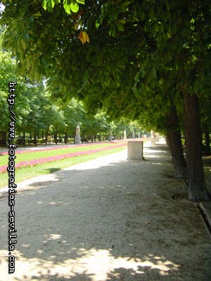 Foto: Parque del Retiro