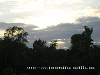 foto: parque de Mar&iacute;a Luisa de Sevilla