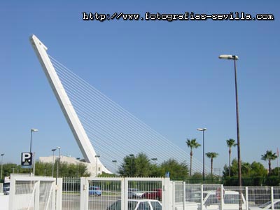 Puente del Alamillo de Sevilla