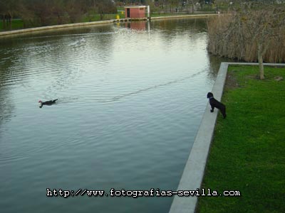 Parque del Alamillo de Sevilla