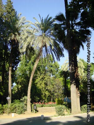 Parque de María Luisa de Sevilla foto: parque de María Luisa de Sevilla