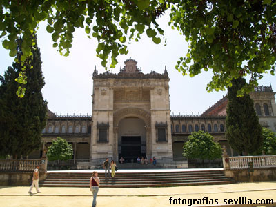 Foto: Museo Arqueol&oacute;gico de Sevilla