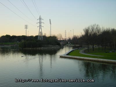 Parque del Alamillo de Sevilla