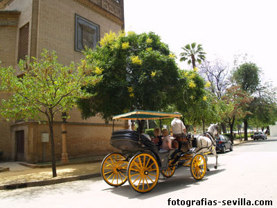 foto: Pabell&oacute;n Real