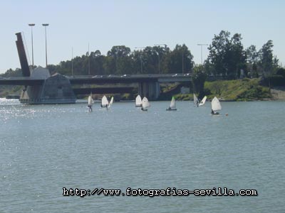 Foto: puente de las Delicias