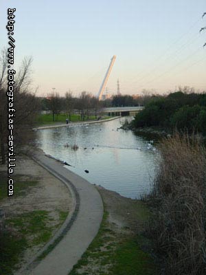 Sevilla, parque y puente del Alamillo Parque y puente del Alamillo de Sevilla