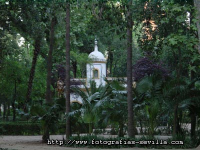 Parque de María Luisa de Sevilla foto: parque de María Luisa de Sevilla