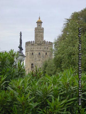 foto: Torre del Oro