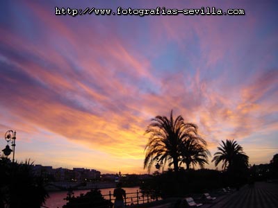 Foto: Paseo Col&oacute;n