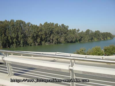 Sevilla, Vista de la ribera del Guadalquivir desde el puente del Alamillo Vista de la ribera del Guadalquivir desde el puente del Alamillo