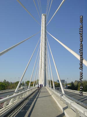 Puente del Alamillo de Sevilla