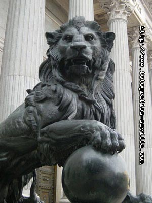Foto: Leones del Congreso