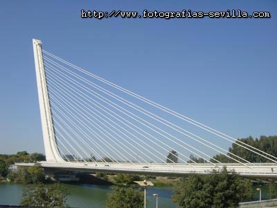 Puente del Alamillo de Sevilla