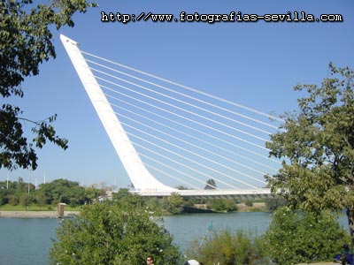 Sevilla, puente del Alamillo Puente del Alamillo de Sevilla