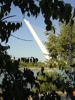 Puente del Alamillo de Sevilla