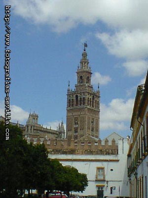 Foto: Giralda de Sevilla