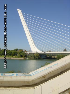 Puente del Alamillo de Sevilla