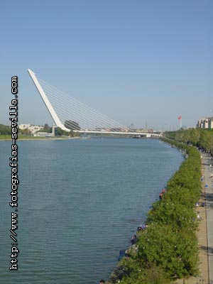 Sevilla, puente del Alamillo Puente del Alamillo de Sevilla