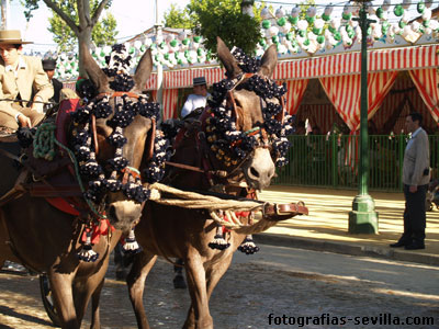 foto: Feria de abril de Sevilla