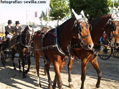 foto: Feria de abril de Sevilla